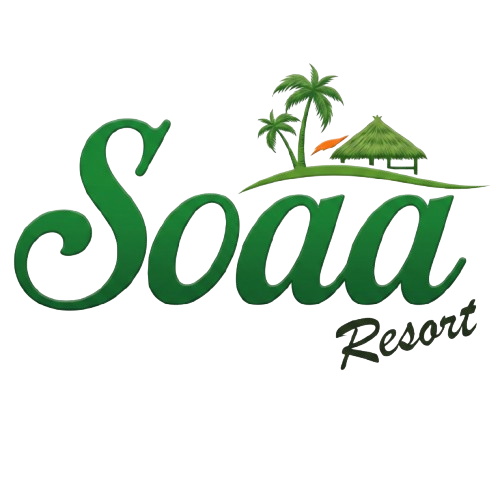 SOAA Logo